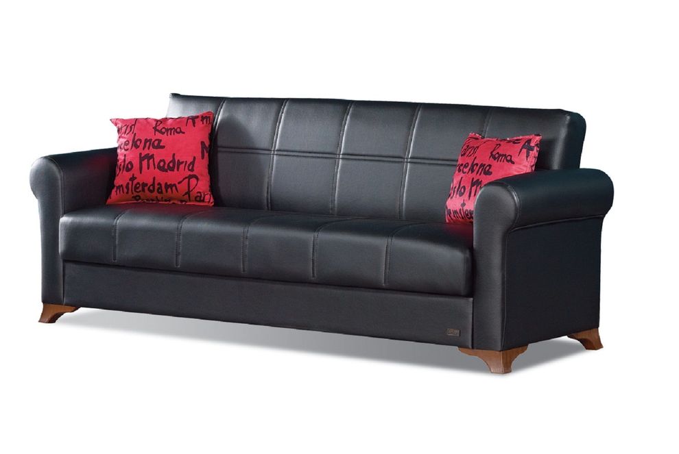 Black sofa bed with storage and red pillows by Empire Furniture USA