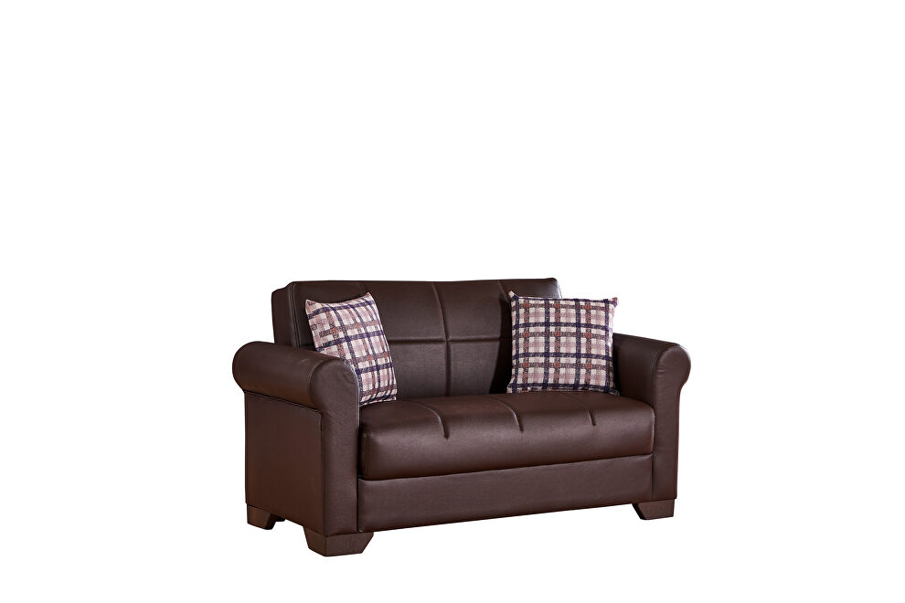 Bycast convertible leather loveseat by Empire Furniture USA