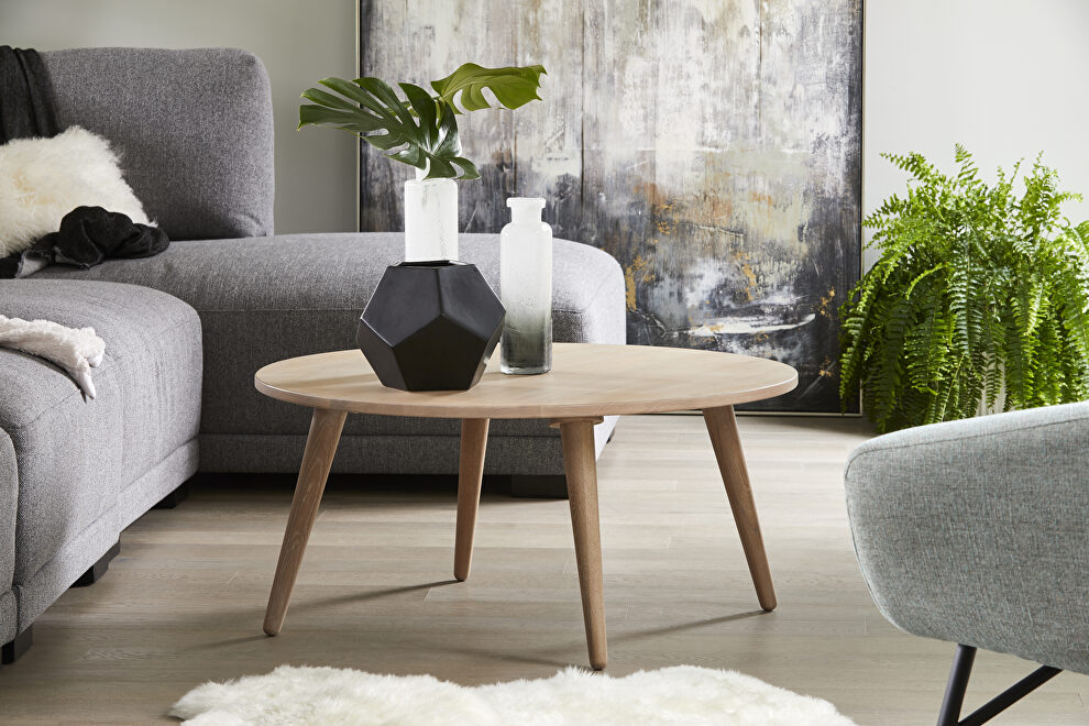 Scandinavian coffee table by Moe's Home Collection