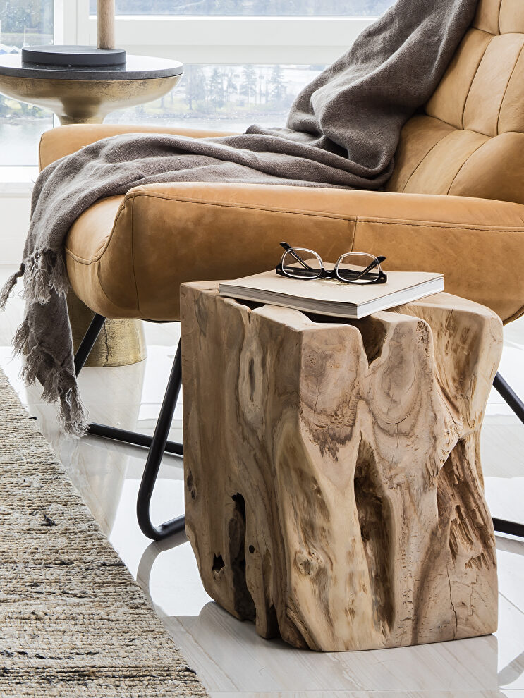 Rustic teak wood end table by Moe's Home Collection