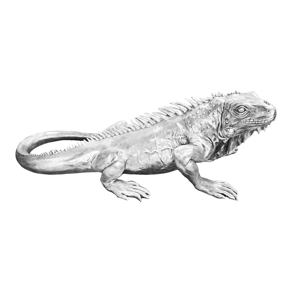 Contemporary iguana statue by Moe's Home Collection