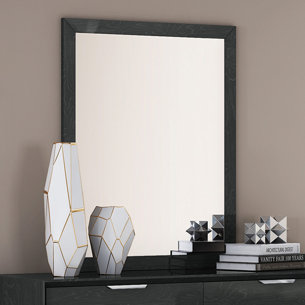 Mirror high gloss gray by Whiteline 