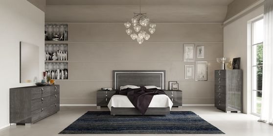 Elegant contemporary bedroom set in gray