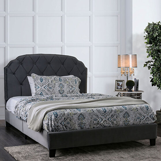 Gray finish fully upholstered frame transitional bed