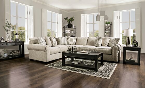 Beautiful combination of fashion and comfort dynamic sectional sofa
