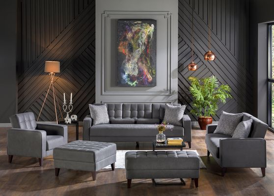 Gray urban modern style storage/sleeper sofa