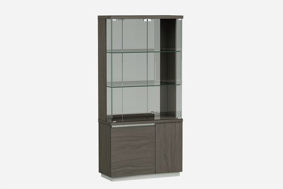 Contemporary gray laquer vetrina / curio