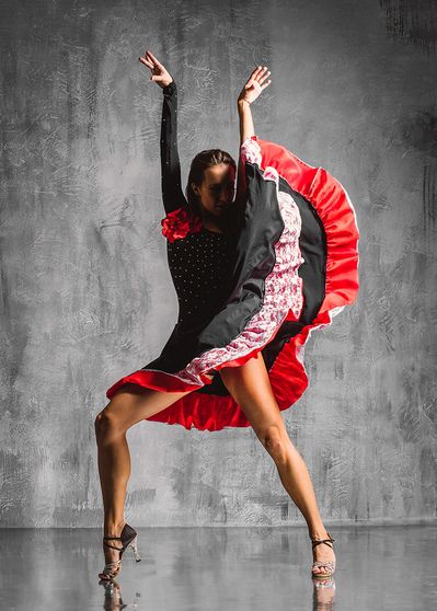 Flamenco premium acrylic wall art