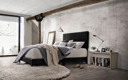 Lien (Black) Black pu twin bed
