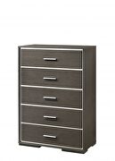 Gray oak chest in casual style main photo