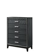 Weathered black finish shimmering silver trim accent chest