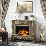 Dresden (Gold) Gold patina finish floral moldings fireplace