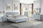 Gray high gloss finish wave pattern design queen bed main photo