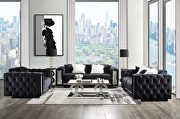 Black velvet upholstery button tufted and mirrored trim accent sofa main photo