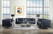 Ansario (Charcoal) Rich charcoal velvet button tufted modern style sofa