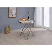 Champagne finish & frosted glass end table main photo