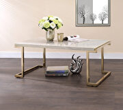 Boice II Faux marble top & champagne coffee table