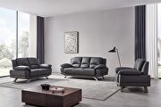 Gray modern black leather sofa main photo