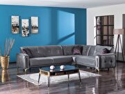 Gray reversible sectional w/ golden trim and legs main photo