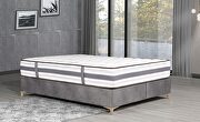 Spa (Queen) 12-inch contemporary white mattress in queen