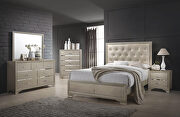 Transitional champagne eastern king bed main photo