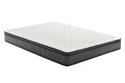 Evie T Euro top 9.25 twin mattress