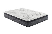 Aspen II T Euro top 12.5 twin mattress