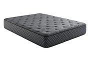 Bellamy TL 12 twin xl firm mattress