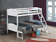 White wood finish twin/full bunk bed main photo