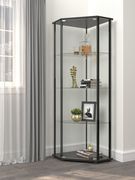 Corner curio / display cabinet with glass sides / shelves main photo