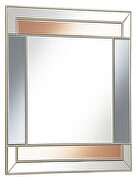 Champagne and gray finish rectangular wall mirror main photo