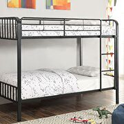 Twin/twin bunk bed in black finish main photo