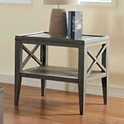 Izar (Gray) 5mm tempered glass top end table