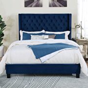 Navy velvet-like fabric transitional style bed main photo