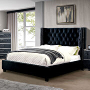 Dark gray fully upholstered frame transitional bed