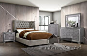 Gray fully upholstered frame transitional bed main photo