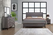 Gray contemporary style casual bedroom