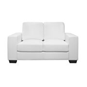 Pvc quality casual style living room loveseat main photo