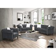 Gray finish luxurious velvet fabric transitional design sofa main photo