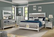 Silver finish with mirror front cases queen bed
