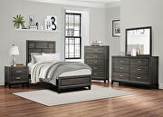 Gray finish modern styling twin bed main photo