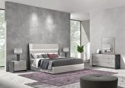 Gray contemporary stylish bed w/ led in headboard