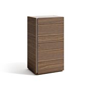 Modern walnut finish chest in minimalistic style