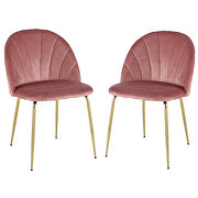 W145 (Pink) Modern pink dining chair(set of 2 ) with iron tube golden legs, velvet cushions and comfortable backrest
