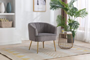 Gray velvet fabric accent leisure chair with golden feet main photo