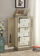 Jewelry armoire with mirror in antique gold main photo
