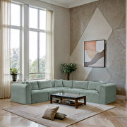 Shaggy 5C (Mint) picture 1