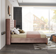 Barolo (Pink) Modern gold legs / nailheads pink velvet full bed