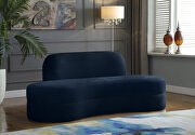 Kidney-shaped lounge style navy velvet sofa main photo