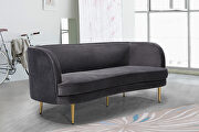 Simple and casual style velvet sofa w/ golden legs main photo
